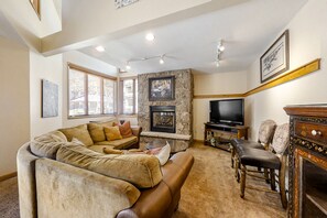 TV, fireplace, DVD player, stereo