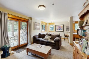 Televisión, chimenea, reproductor de DVD y libros