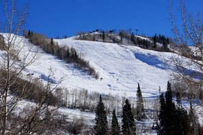 Sne- og skisport