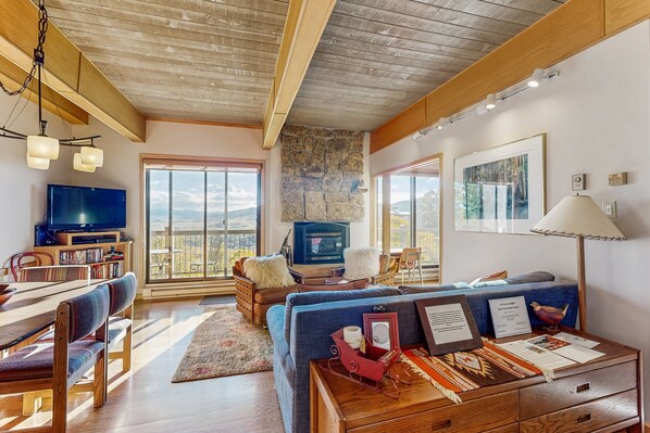 テレビ、暖炉、DVD プレーヤー、書庫