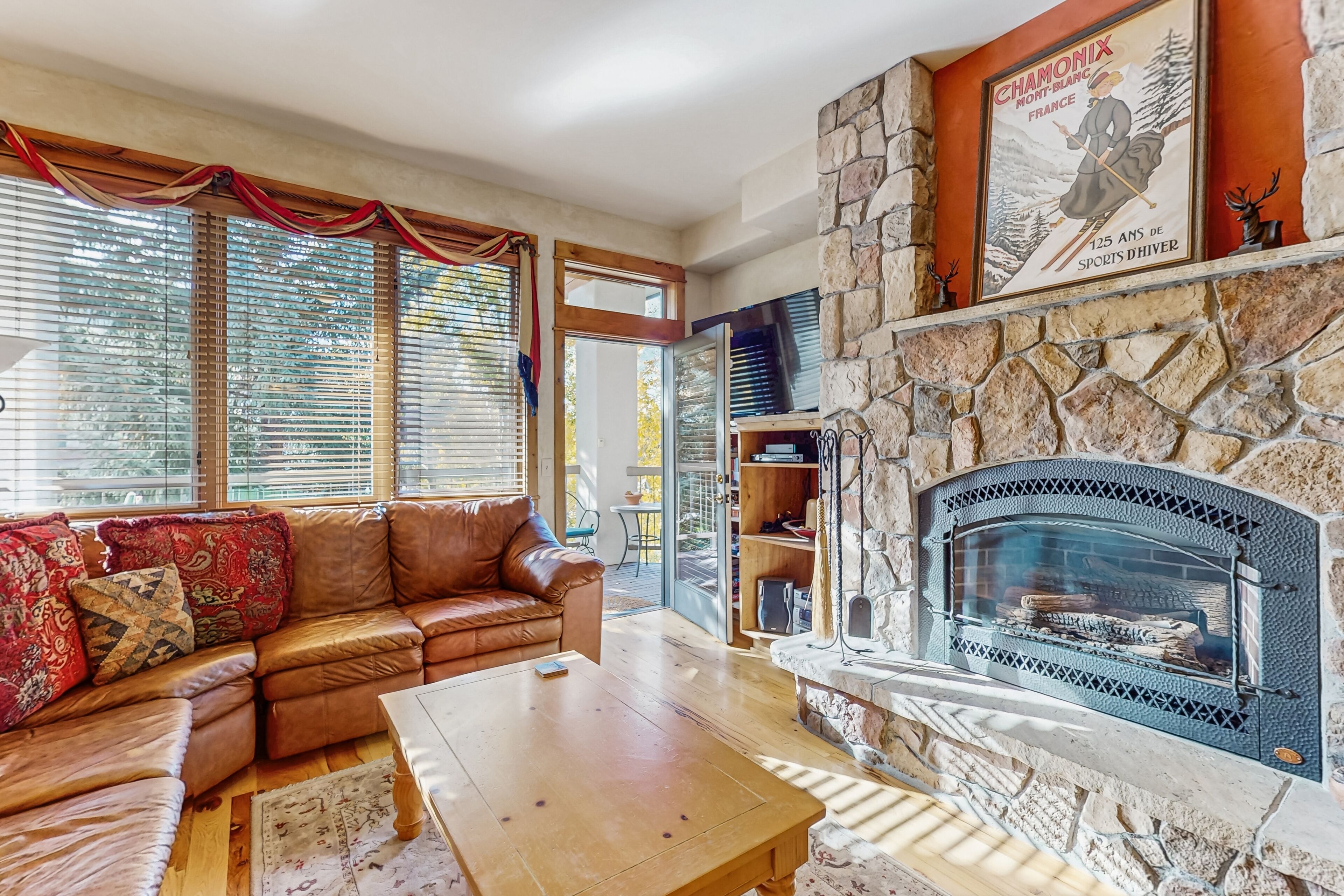 TV, fireplace, DVD player, books