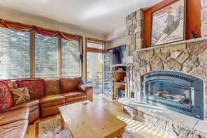 TV, fireplace, DVD player, books