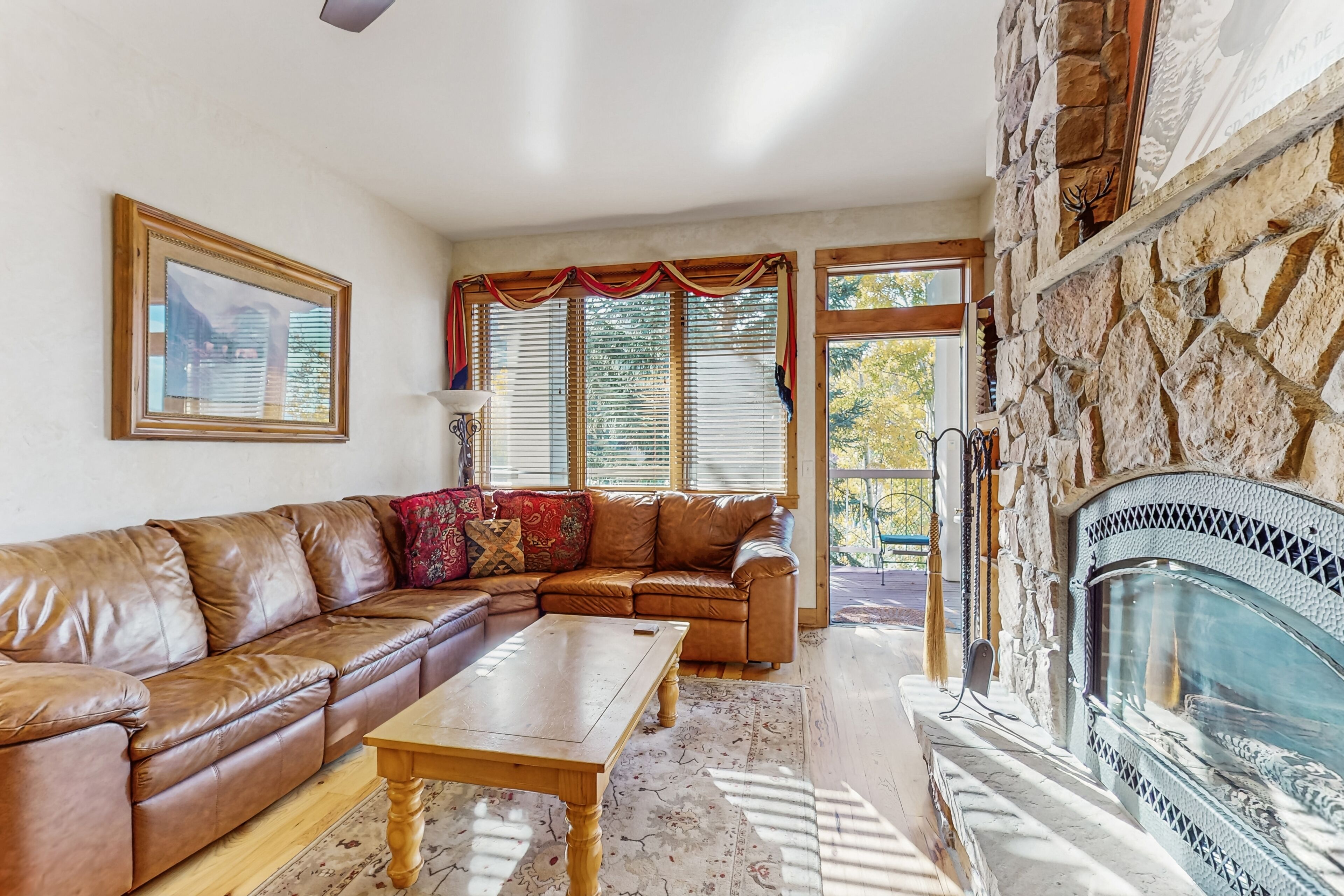 TV, caminetto, lettore DVD, libri