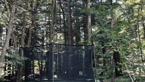 A trampoline in a forested area. - Berkshire Lake at the Pillow, and EV! (Otis)