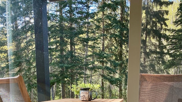 Uma área de estar aconchegante ao ar livre, com mesa de madeira e duas cadeiras, planta em vaso e vista para uma floresta.