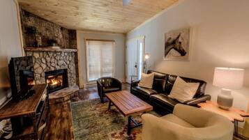 Smart TV, fireplace, books