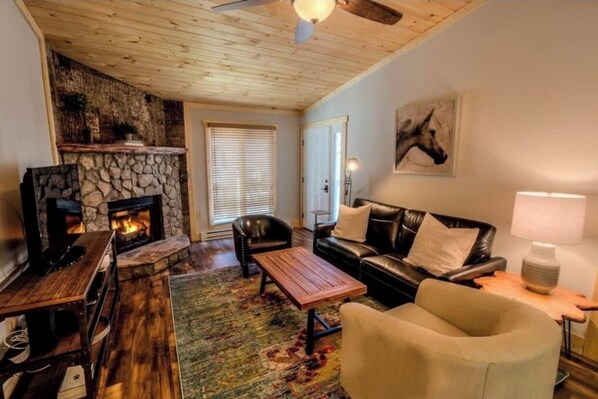 Smart TV, fireplace, books