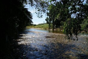 Property grounds - Relaxing rainforest retreat with private creek access and stunning views (Mount Charlton)