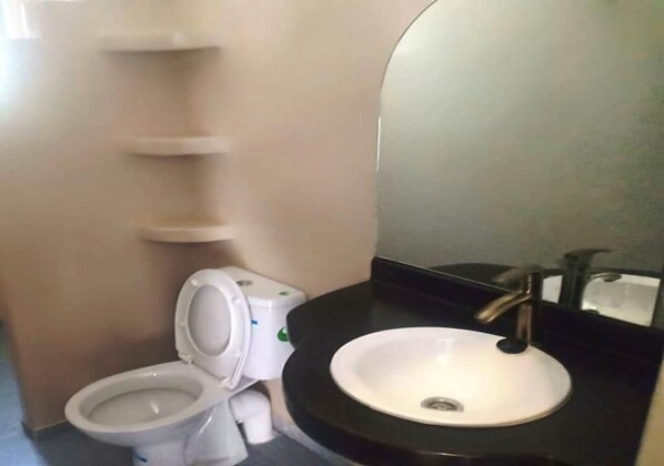 A bathroom with a toilet, a sink, and a mirror.