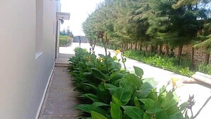 Un étroit sentier bordé de plantes et d’arbres verdoyants, qui mène à un bâtiment à la façade blanche.