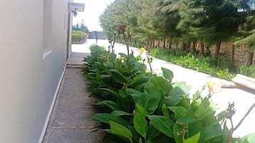 住宿场地