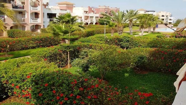 A landscaped garden with red flowers and palm trees, surrounded by buildings with balconies and a pool. - Very nice apartment El Waha Saidia 4597 (Saidia)