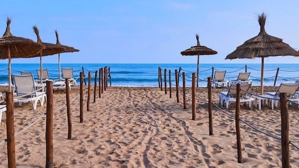 Ein Strand mit Reihen von Liegestühlen und Strohdächern, der zum Meer hinabführt.