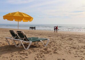 Ubicación cercana a la playa