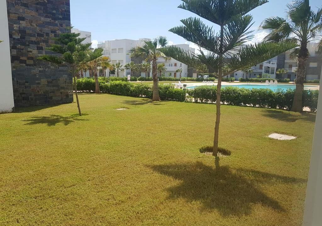 Ein gepflegter Rasen mit Palmen und einem Pool im Hintergrund.