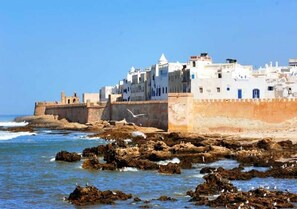 Un pueblo costero con edificios blancos, costa rocosa y gaviotas.