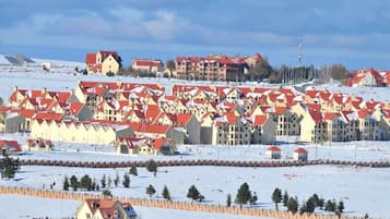 Esports d'hivern i esquí