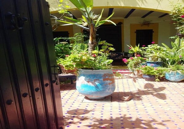 Unclassified image, 1 of 14, button