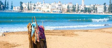 Playa