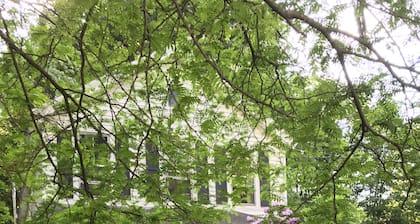 Charming 1871 farmhouse retreat, wooded views in the historic village of Chatham