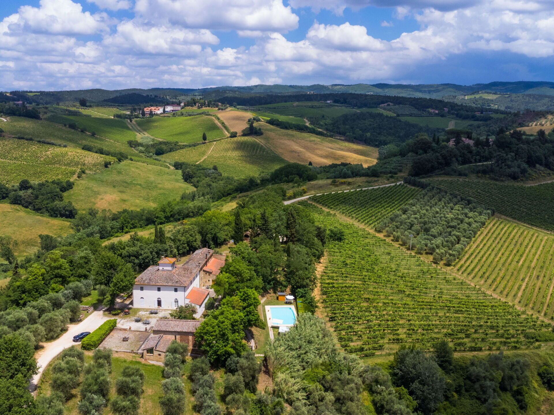Un vignoble avec des rangées de vignes, un bâtiment blanc avec un toit rouge et une piscine.