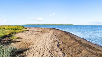 Una spiaggia nelle vicinanze
