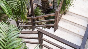 A wooden staircase surrounded by lush green foliage, leading to a stone wall. - Master Room on 5th, one block to the beach (Playa del Carmen)
