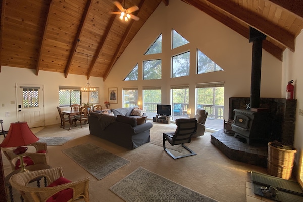 Una Smart TV, un reproductor de DVD, libros, una videoteca