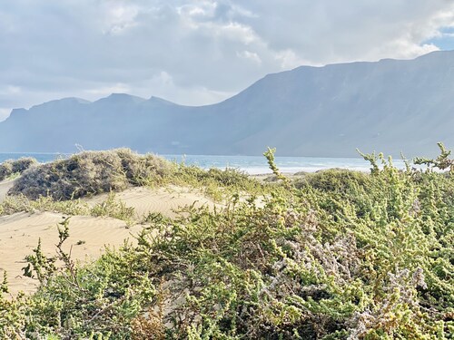Canaryislandshost l Famara Surfer