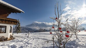 A snow-covered landscape with a wooden building, a snow-covered tree, and a mountain in the background. - 3/4/5/7 Gamsbleame for 1-2 pers., 21 m2 (Bischofswiesen)