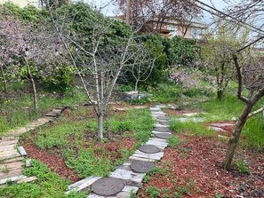 Terrain de l’hébergement 