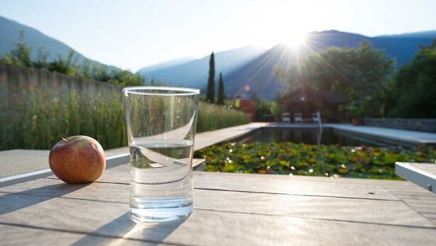 Un bicchiere d'acqua e una mela su un tavolo con vista sulle montagne e un giardino.