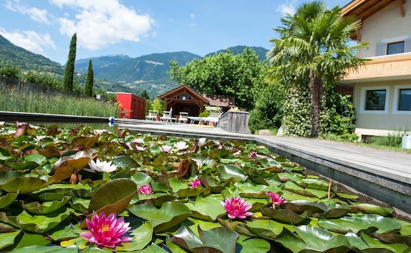 A pond with water lilies and a wooden structure in the background.