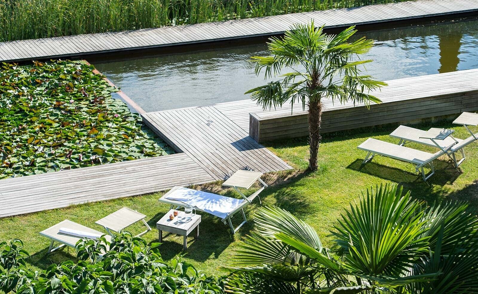 Area piscina con solarium in legno, lettini, una palma e un giardino con ninfee.