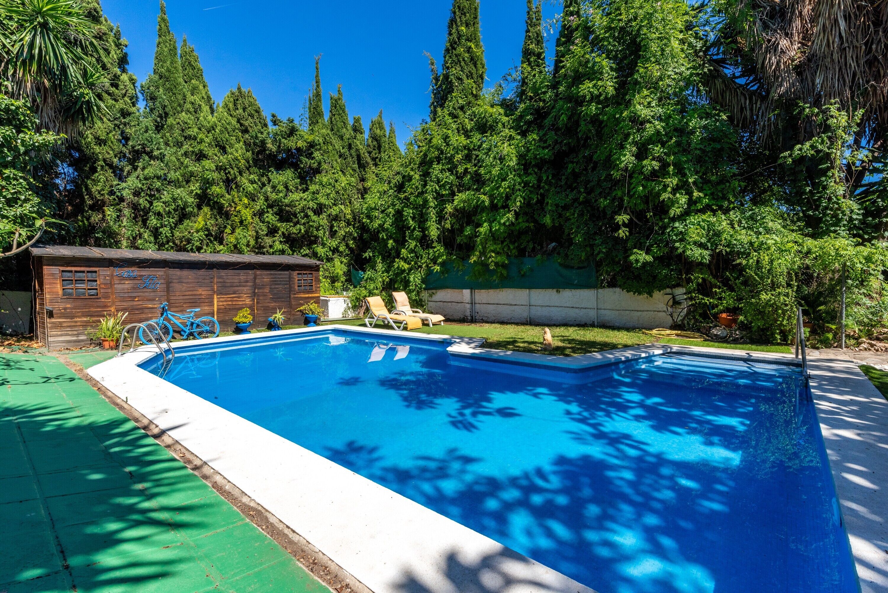 Piscina rectangular con un muelle de madera y sillas de descanso, rodeada de abundante vegetación y árboles altos.