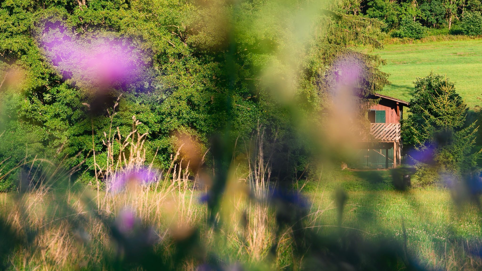 Jardines del alojamiento