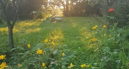 Familienhaus Sonne