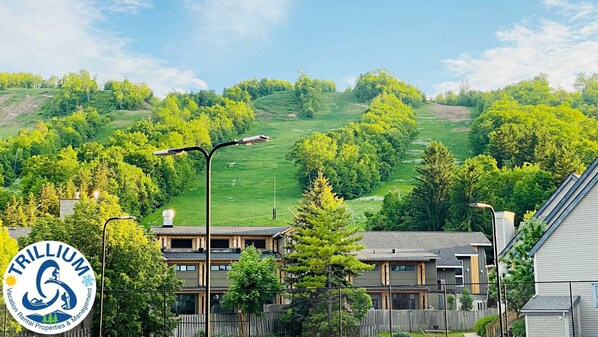 Exterior - Cozy Studio Loft with 2 Baths Next to the Slopes (The Blue Mountains)