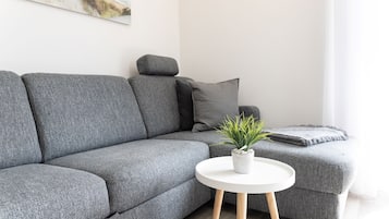 Fernseher