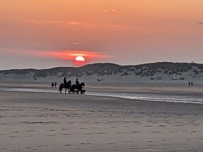 Beach nearby, sun loungers