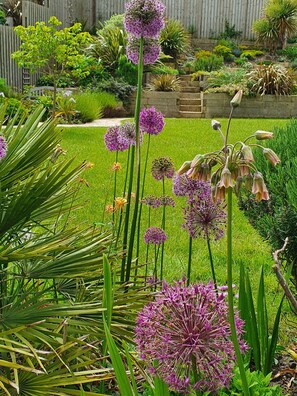 Property grounds - Sea Echoes is moments from beautiful Camber Beach (Camber)