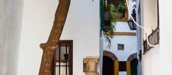 CENTRO-MEZQUITA FROM 6 TO 8 GUESTS and 2 x room 22 € FROM 6TH 