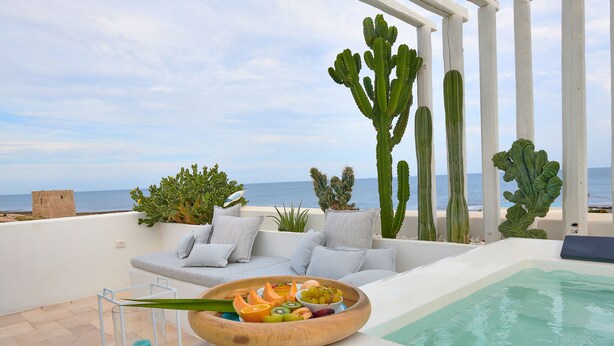 Un espace aménagé au bord de la piscine, comprenant un jacuzzi, un panier de fruits et des cactus.