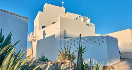 Musae al Mare