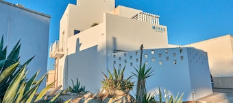 Musae al Mare