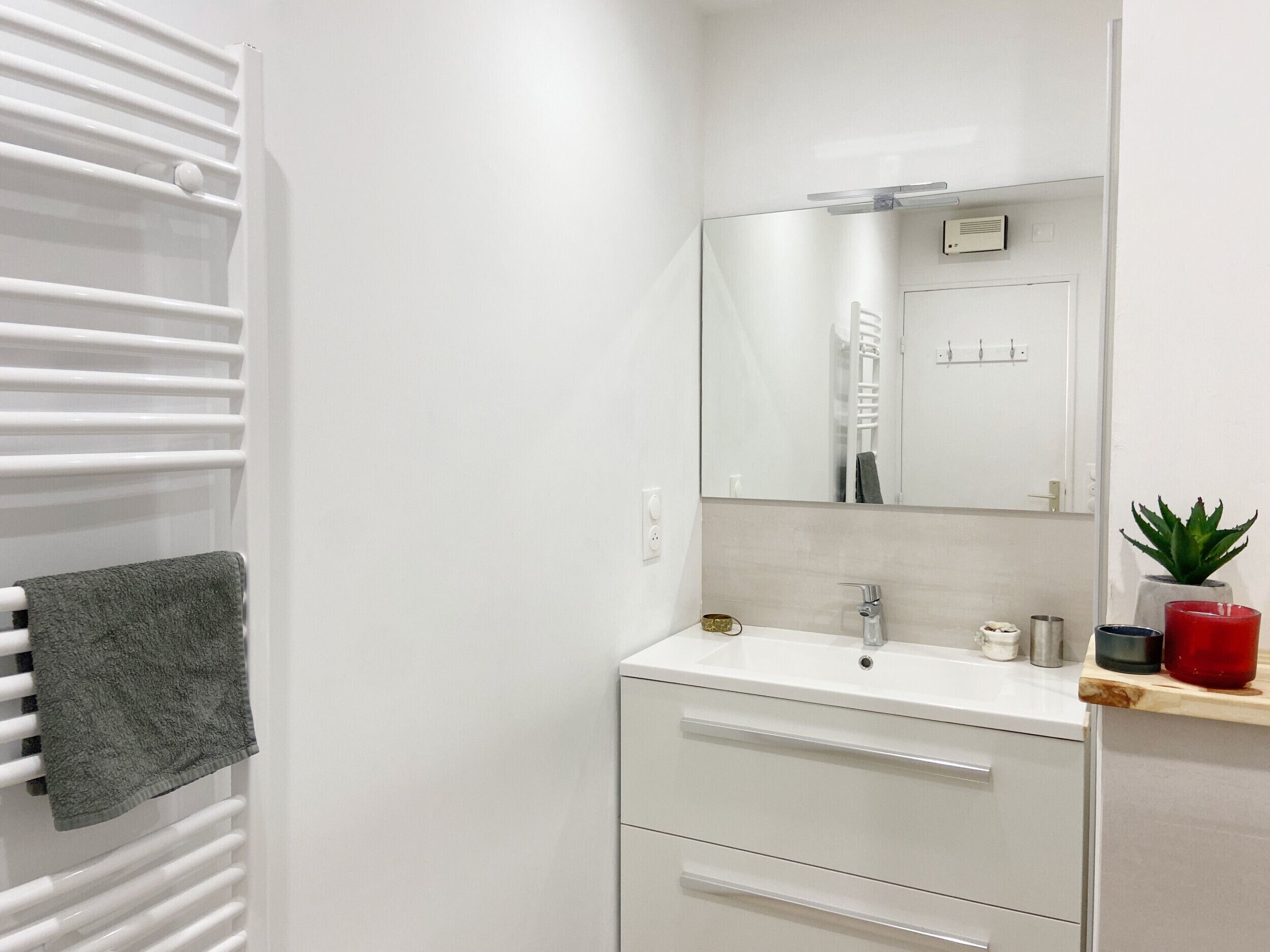 A modern bathroom with a white vanity, a mirror, a towel rack, and a small plant on the counter.