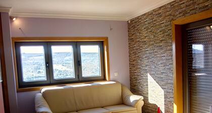 Casa da Oliveira - Alojamento Local.- Uma Casa Inteira só Para si