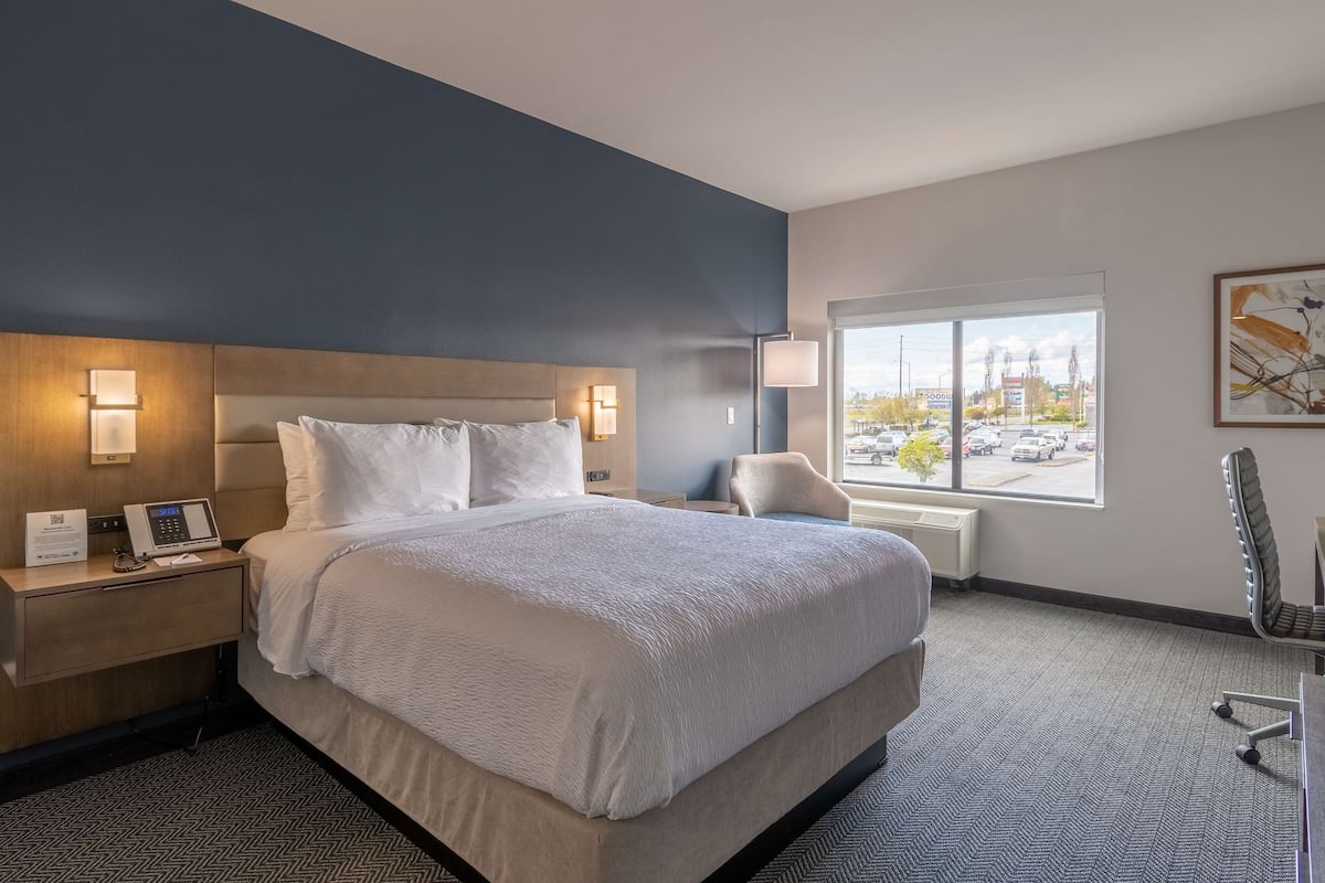 Een hotelkamer met een groot bed, nachtkastjes, een bureau, een stoel en een raam met uitzicht op de stad.