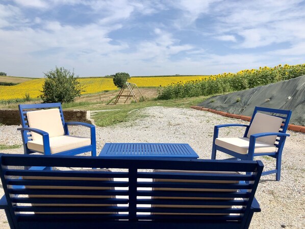 Property grounds - Ancien Corps de Ferme au Milieu des Tournesols (Puylaurens)