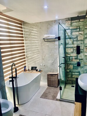 Bathtub, hair dryer, bidet, towels